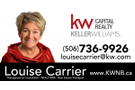 Logo de Immeubles Realty Louise Carrier Logo de Immeubles Realty Louise Carrier